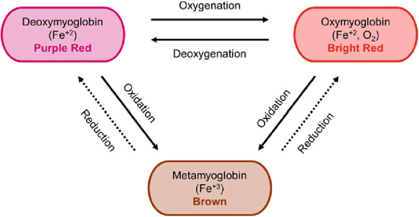 Meat colour according to the oxidation state of myoglobin